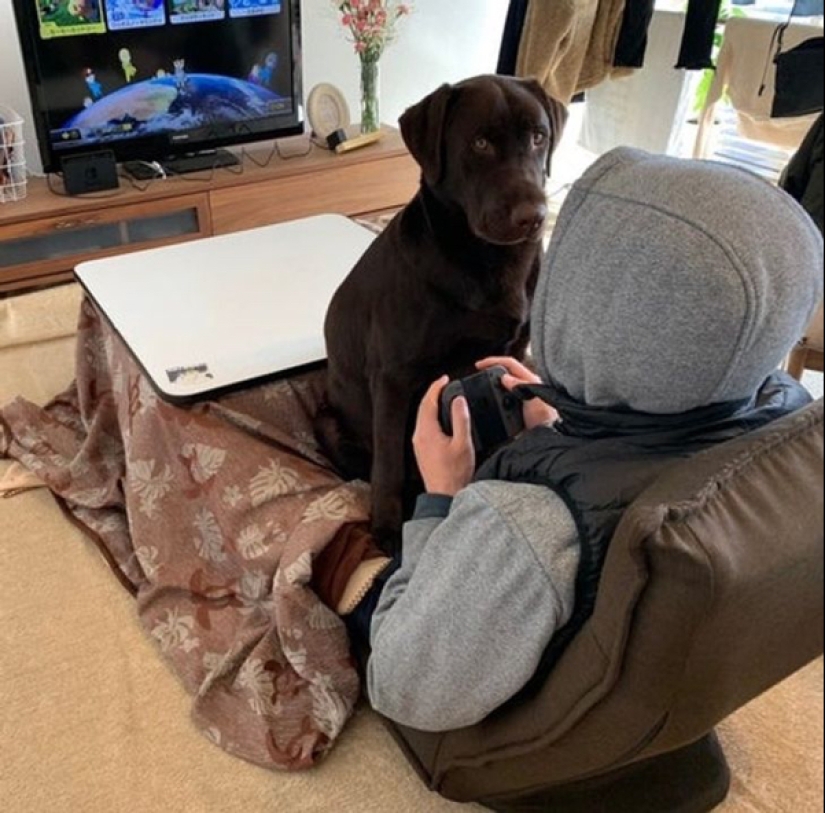 22 photos of animals who have not heard anything about "personal space" 22 photos of animals who have not heard anything about "personal space"