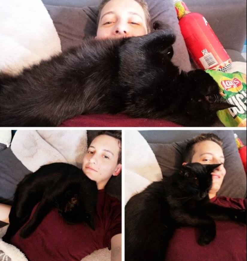 22 photos of animals who have not heard anything about "personal space" 22 photos of animals who have not heard anything about "personal space"