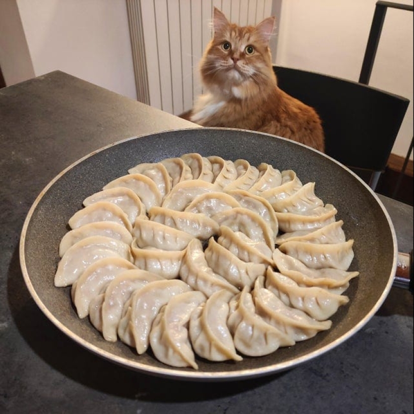 22 photos of food that looks just perfect 22 photos of food that looks just perfect