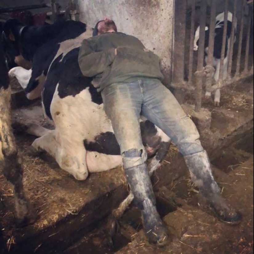 22 photos of people asleep in the most unexpected places