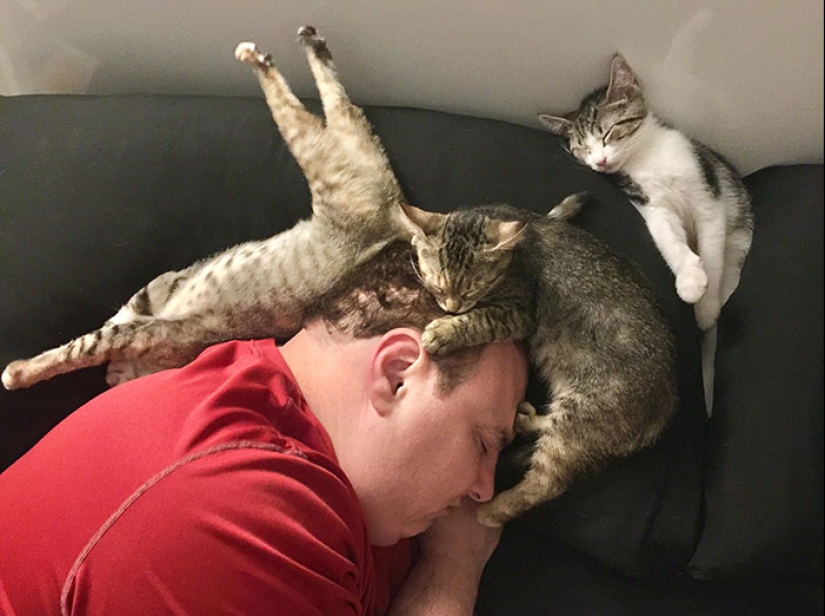 22 photos of people asleep in the most unexpected places