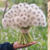 22 photos of perfect shapes that you can't take your eyes off 22 photos of perfect shapes that you can't take your eyes off