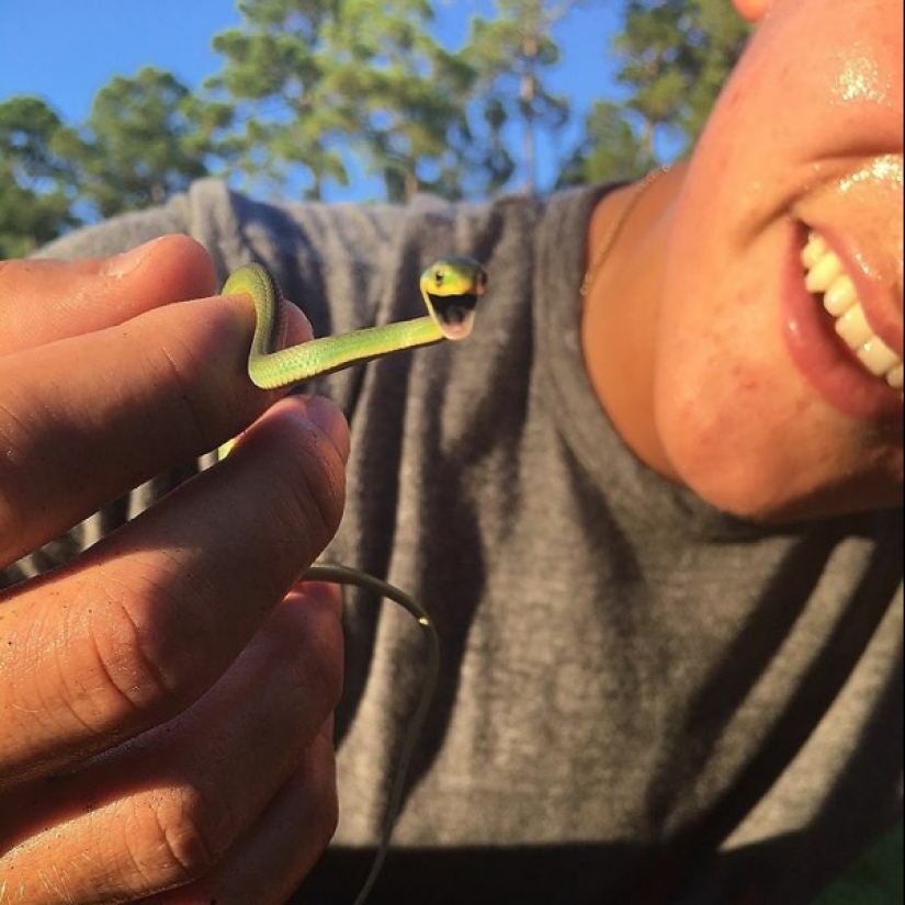 22 photos of small animals that bring great joy 22 photos of small animals that bring great joy