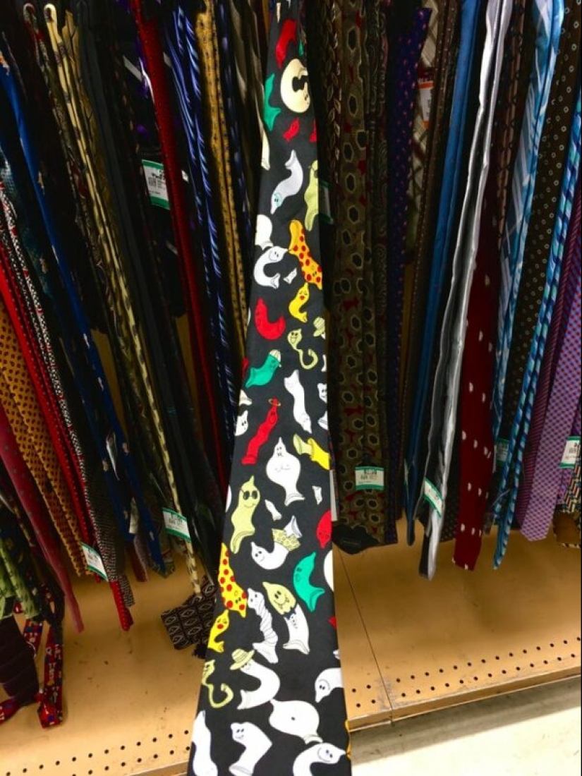 22 photos of things that are beautiful and terrible at the same time 22 photos of things that are beautiful and terrible at the same time