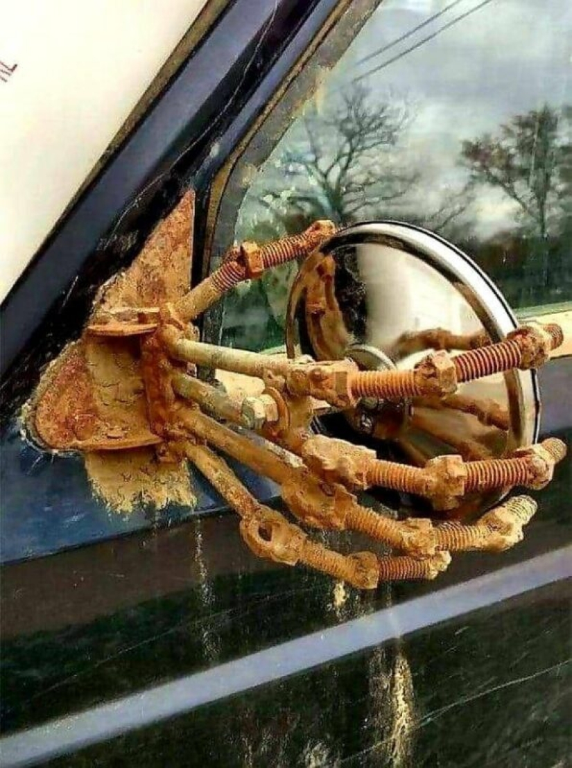 22 photos of things that are beautiful and terrible at the same time 22 photos of things that are beautiful and terrible at the same time