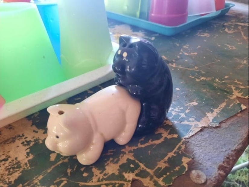 22 photos of things that are beautiful and terrible at the same time 22 photos of things that are beautiful and terrible at the same time