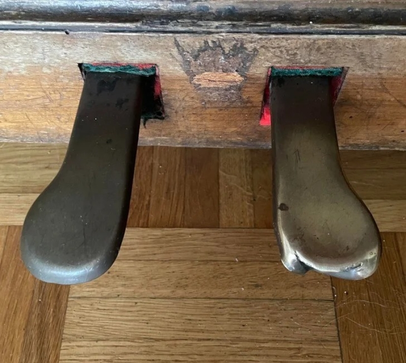 22 photos that clearly demonstrate why cats and puzzles are incompatible