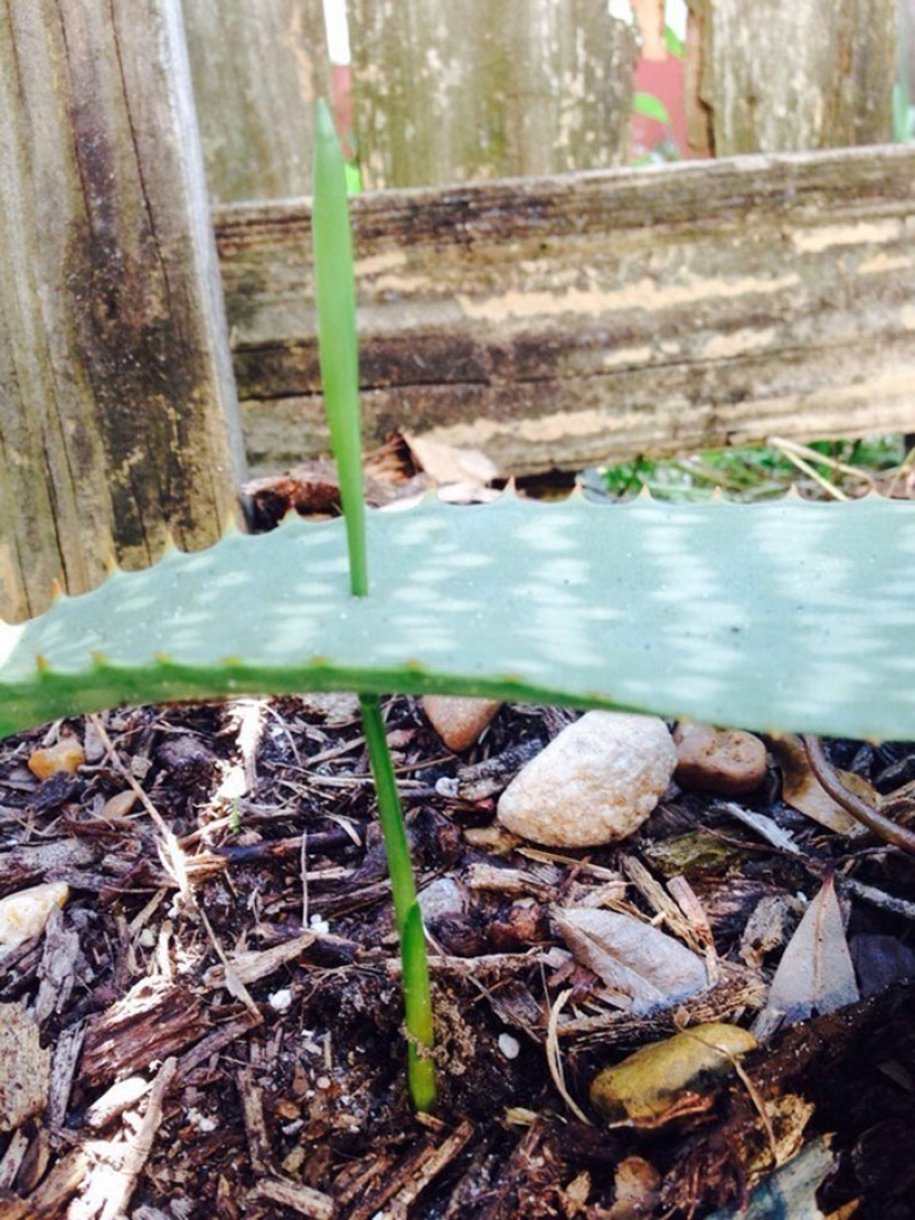 22 photos that will put you in a stupor 22 photos that will put you in a stupor