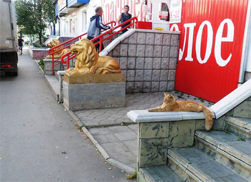 22 photos where you can't tell where life is and where art is