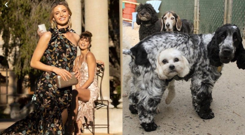 22 photos with fun optical illusions that will confuse any 22 photos with fun optical illusions that will confuse any