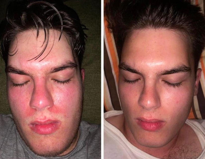 22 pruebas de que los cerdos también pueden ser increíblemente lindos