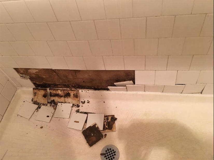 22 the craziest situations faced by apartment tenants 22 the craziest situations faced by apartment tenants