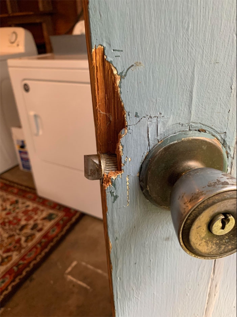 22 the craziest situations faced by apartment tenants 22 the craziest situations faced by apartment tenants