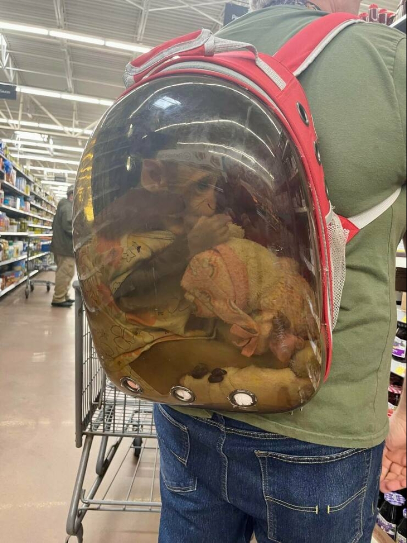 22 weirdos from Walmart in their Natural Habitat