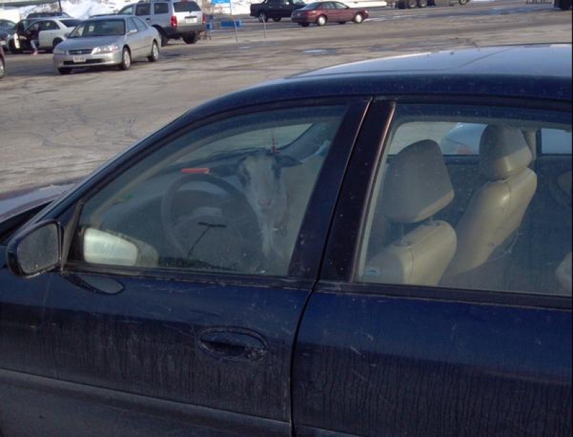 22 weirdos from Walmart in their Natural Habitat
