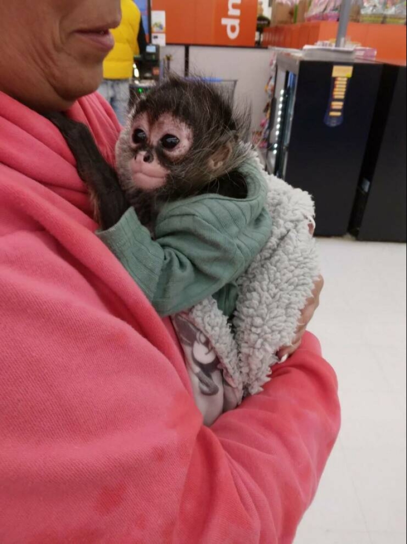 22 weirdos from Walmart in their Natural Habitat