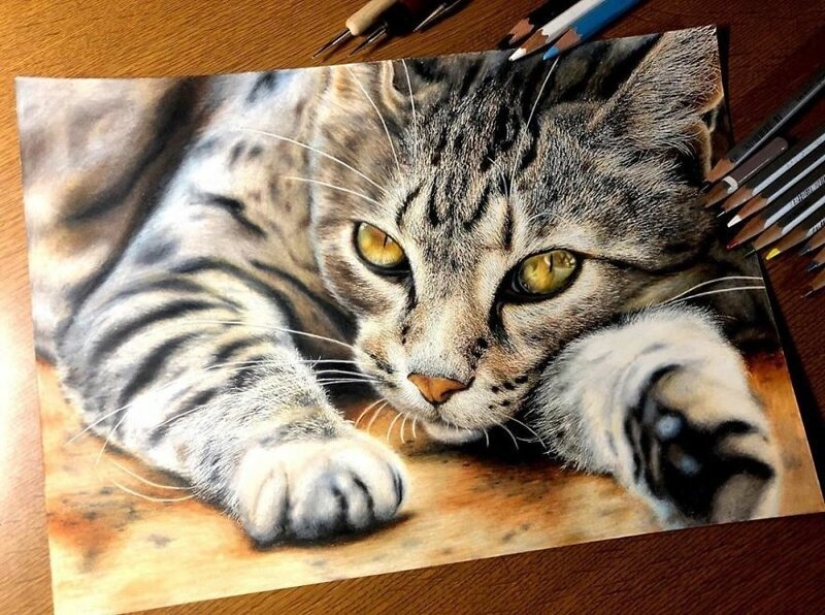 23 drawings of cats in the genre of hyperrealism