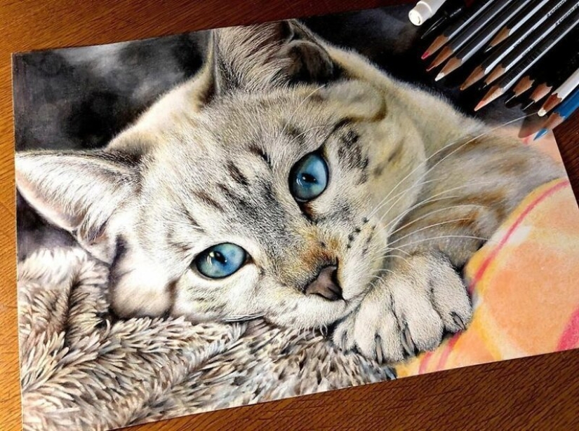 23 drawings of cats in the genre of hyperrealism