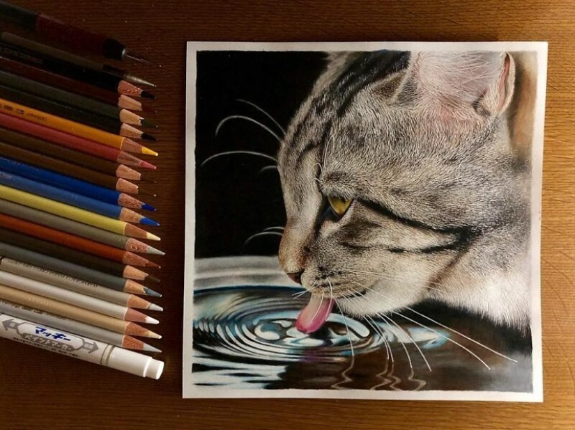 23 drawings of cats in the genre of hyperrealism