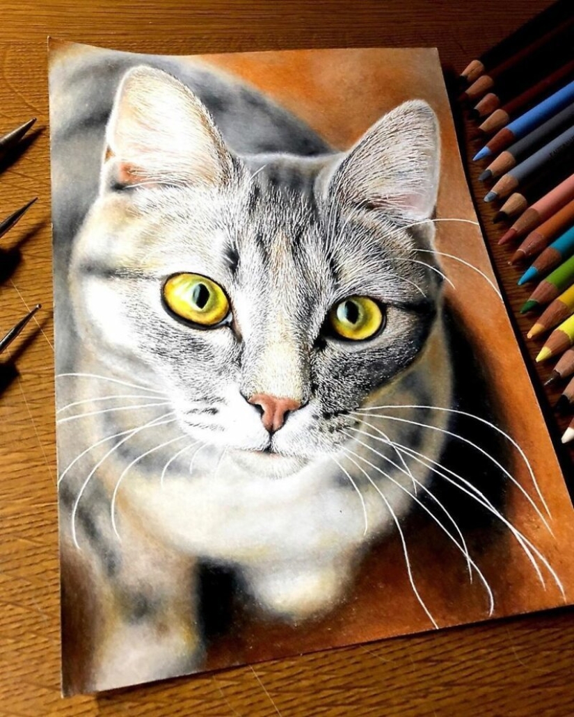 23 drawings of cats in the genre of hyperrealism