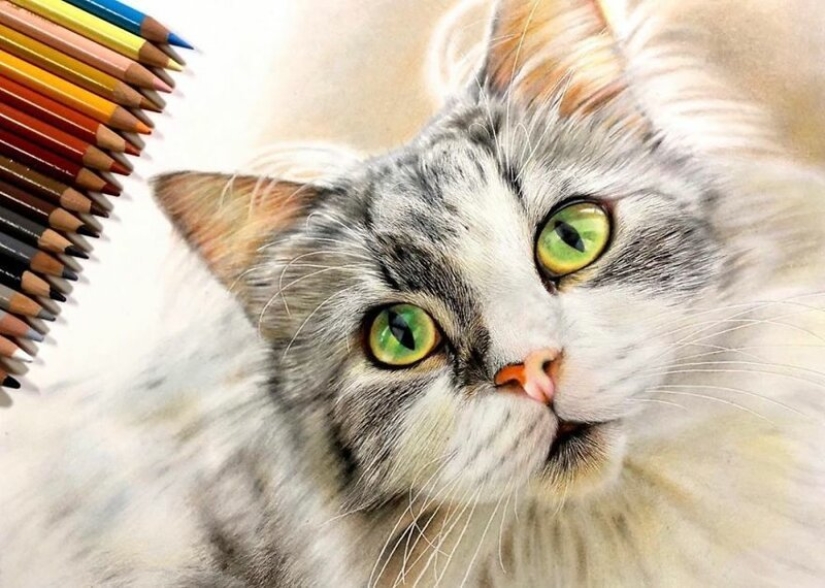 23 drawings of cats in the genre of hyperrealism