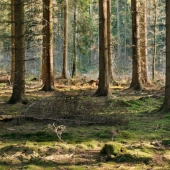 23 unknown facts about our world that will make you think 23 unknown facts about our world that will make you think