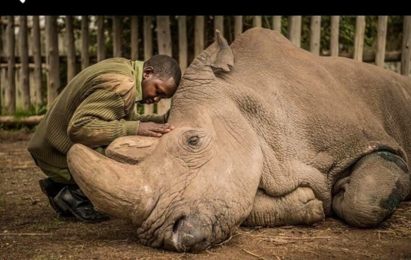 24 photo proving that our world is an amazing place 24 photo proving that our world is an amazing place