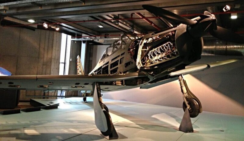 25 de los más increíbles descubrimientos hechos por la gente común