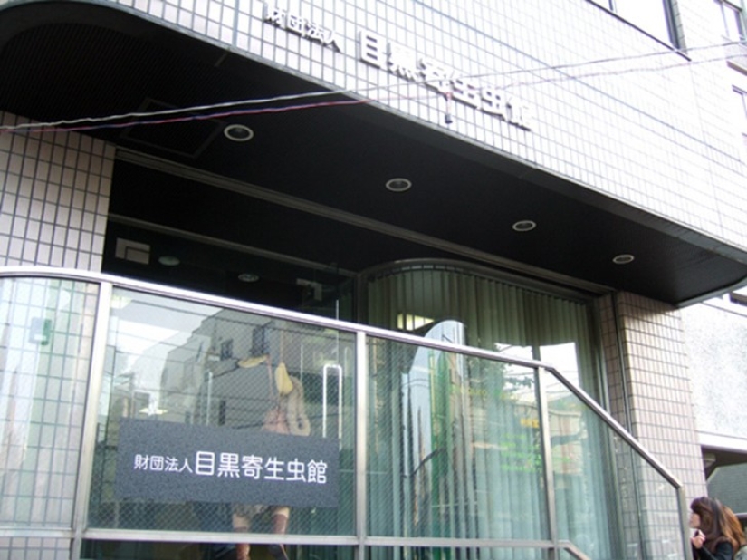 25 of the World's Weirdest Museums 25 of the World's Weirdest Museums