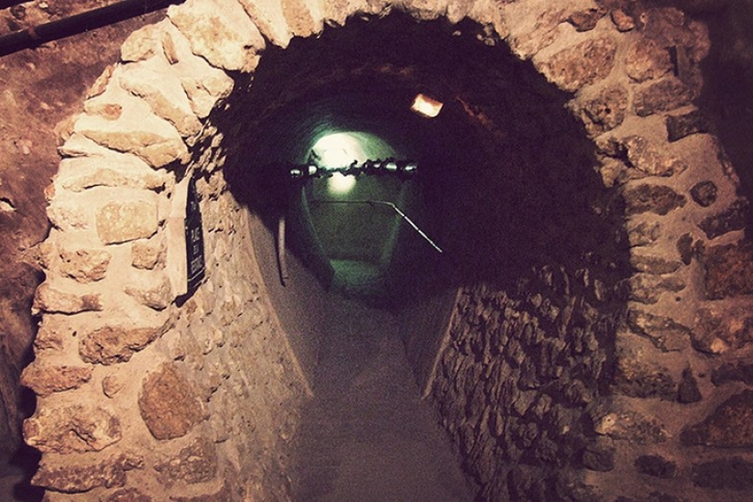 25 of the World's Weirdest Museums 25 of the World's Weirdest Museums