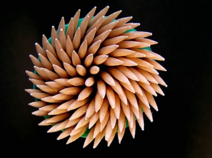 25 photos representing an unusual look at familiar objects 25 photos representing an unusual look at familiar objects