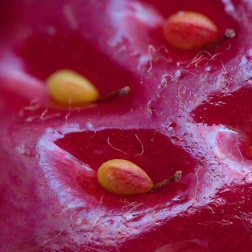 25 photos representing an unusual look at familiar objects 25 photos representing an unusual look at familiar objects