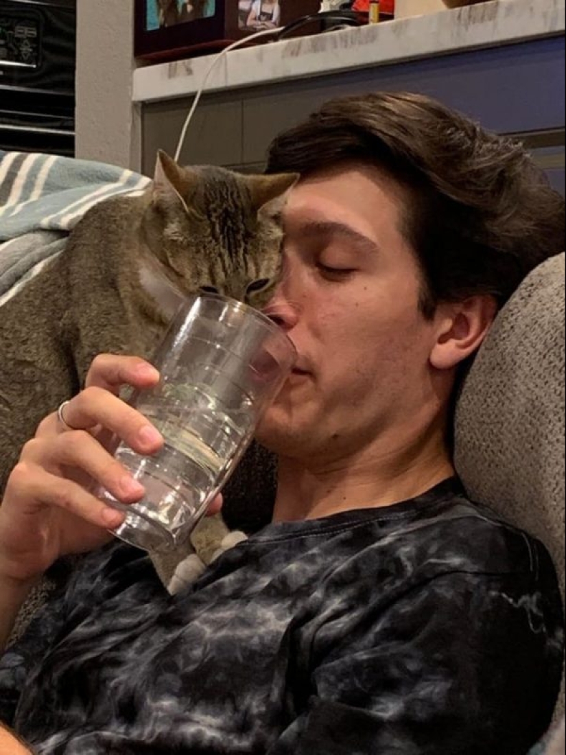 25 photos that tell of a secret life with cats 25 photos that tell of a secret life with cats