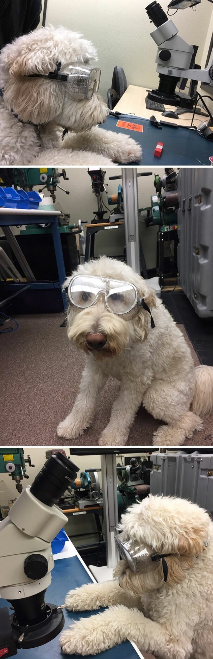 30 cases when people died of boredom, but found original ways to have fun