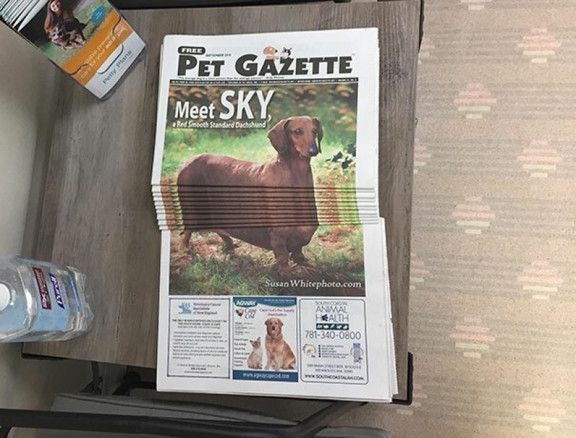 30 cases when people died of boredom, but found original ways to have fun