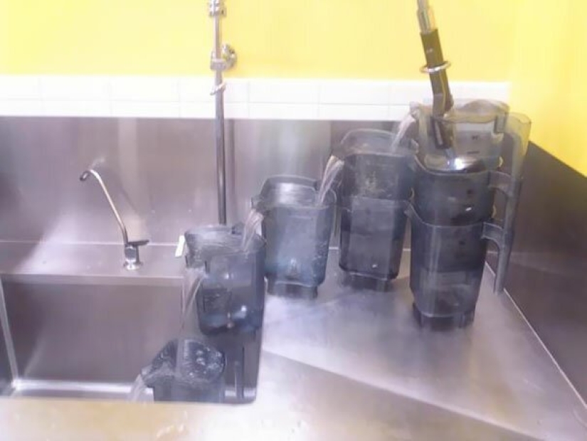 30 cases when people died of boredom, but found original ways to have fun