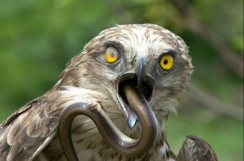 30 creepy photos that give you goosebumps 30 creepy photos that give you goosebumps