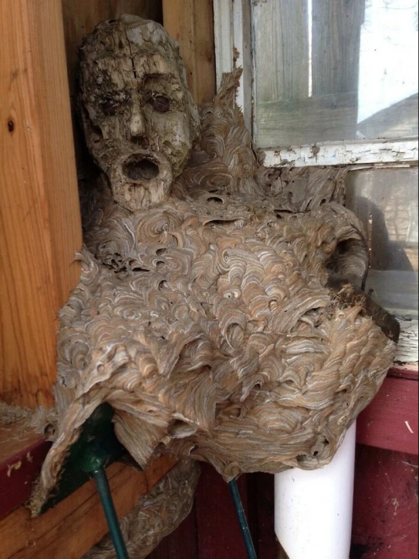 30 creepy photos that give you goosebumps 30 creepy photos that give you goosebumps