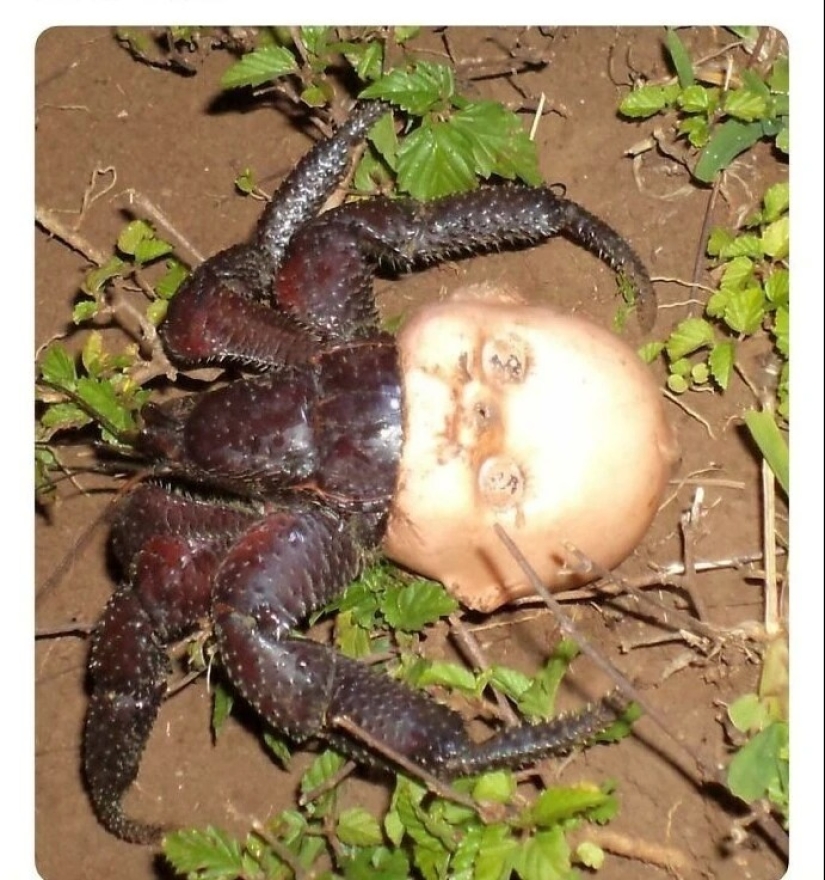 30 creepy photos that give you goosebumps 30 creepy photos that give you goosebumps