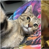 30 cute pets who have mastered the art of selfies 30 cute pets who have mastered the art of selfies