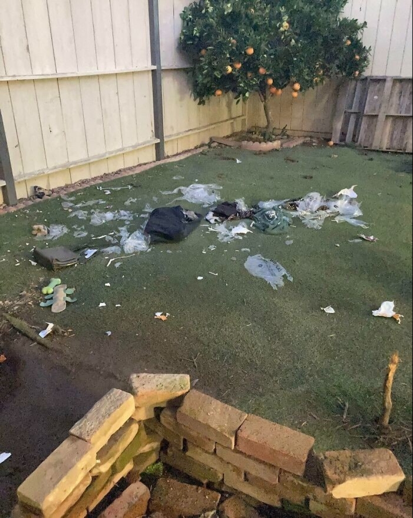 30 failures and accidents that cost someone a pretty penny