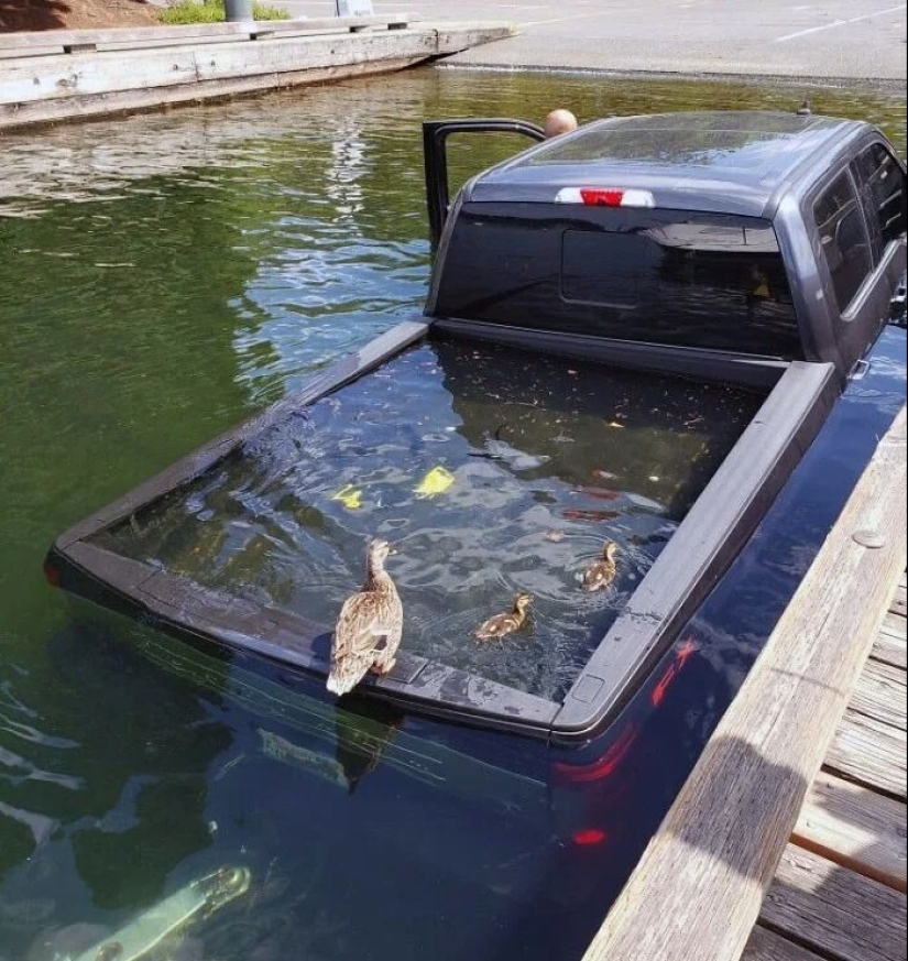 30 failures and accidents that cost someone a pretty penny