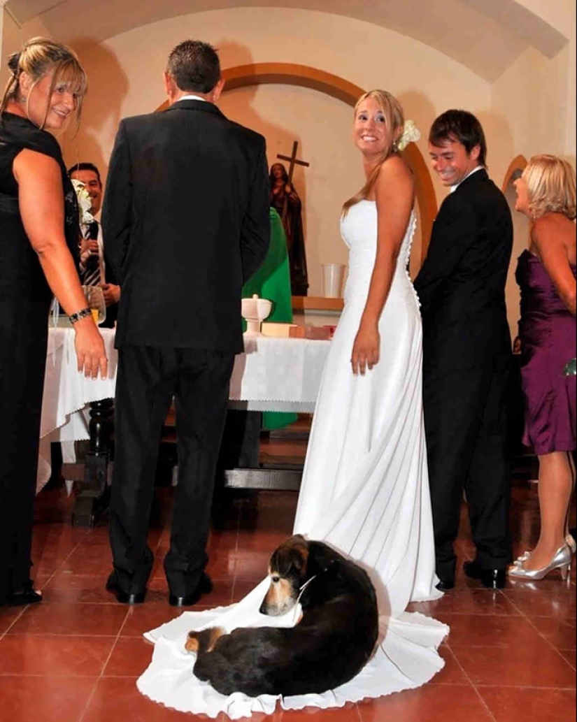 30 fotos de boda irremediablemente jodidas 30 fotos de boda irremediablemente jodidas