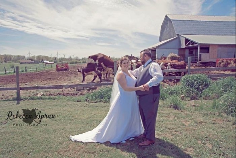 30 hopelessly screwed up wedding photos 30 hopelessly screwed up wedding photos