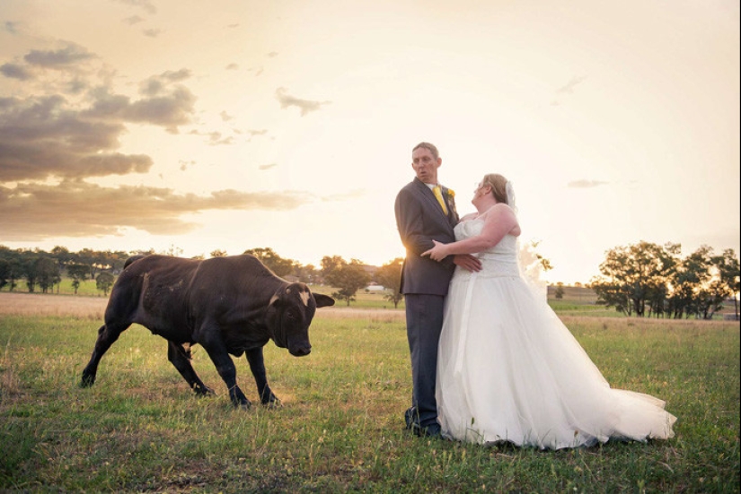 30 hopelessly screwed up wedding photos 30 hopelessly screwed up wedding photos