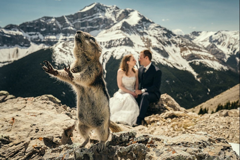 30 hopelessly screwed up wedding photos 30 hopelessly screwed up wedding photos