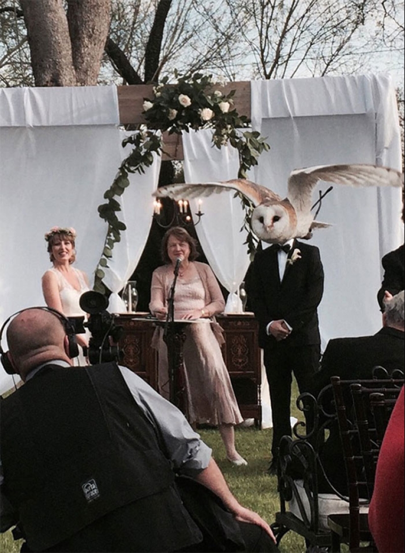 30 hopelessly screwed up wedding photos 30 hopelessly screwed up wedding photos