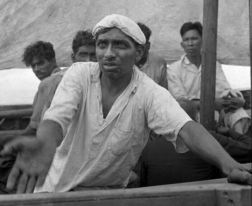 30 impactantes fotos que ganó el premio Pulitzer