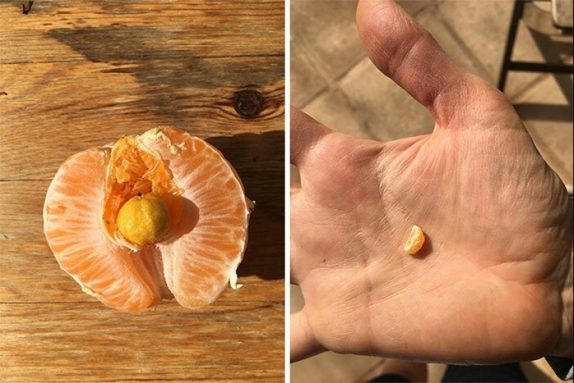30 inesperado se encuentra dentro de una desmontado o cosas rotas