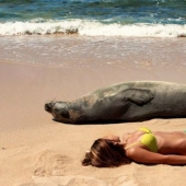 30 "killer" beach photos that will definitely make you laugh to tears 30 "killer" beach photos that will definitely make you laugh to tears